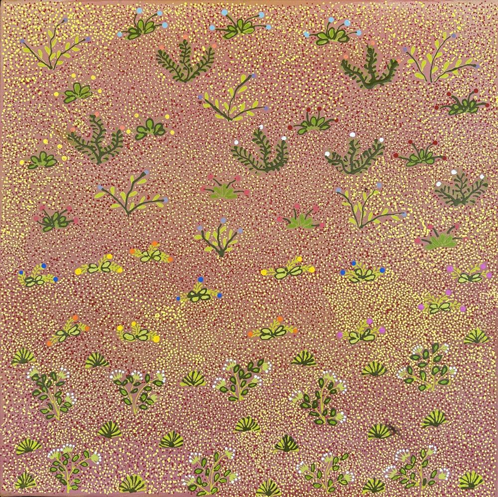 Bush Flowers - Dakota Petrick