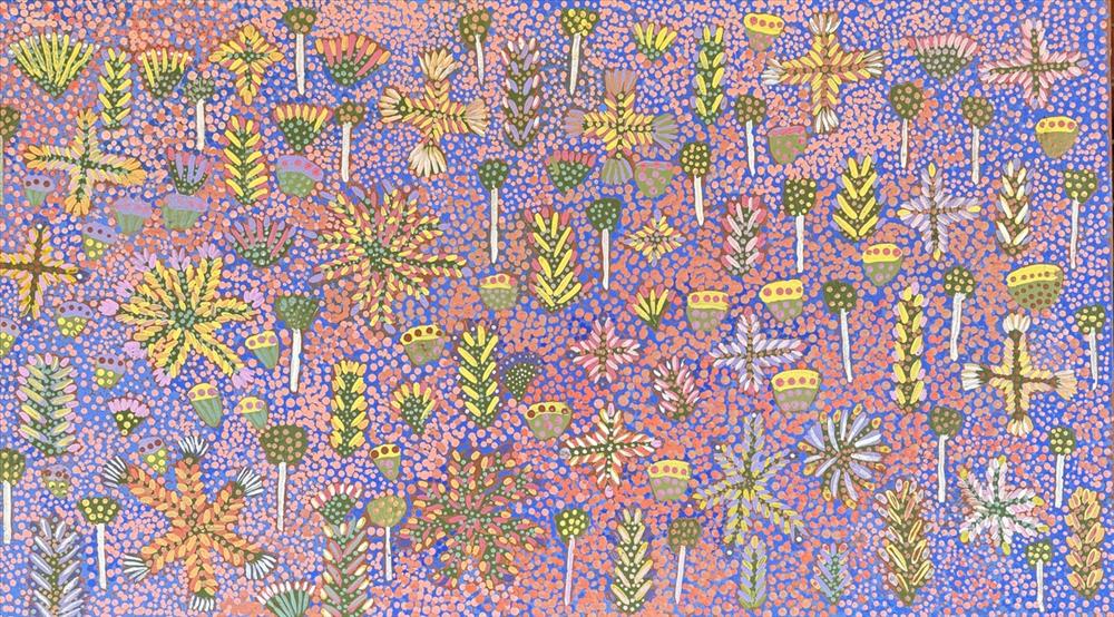 Bush Medicine Plants