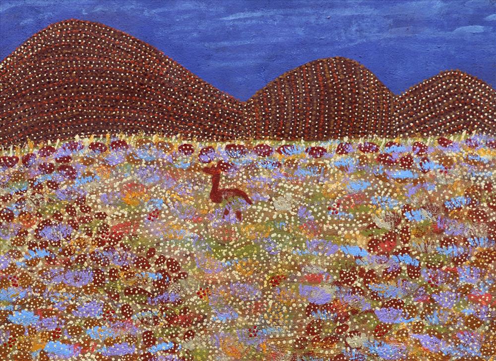 Bush Turkey (Bardurra)