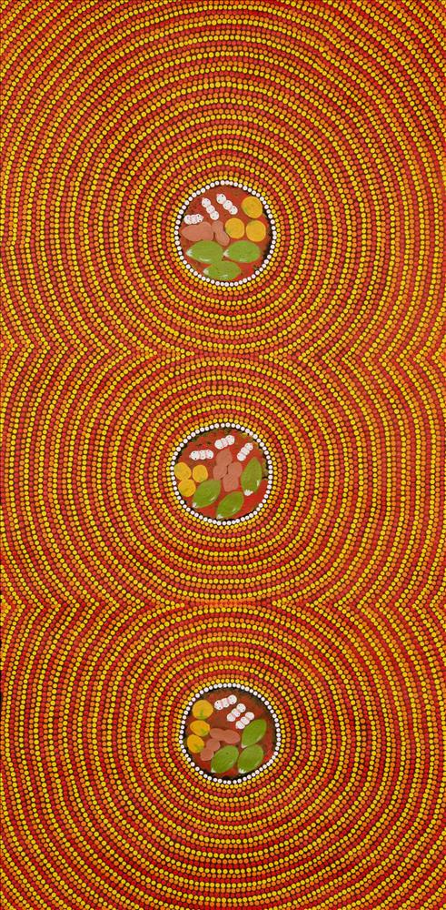 Different Bush Tuckers