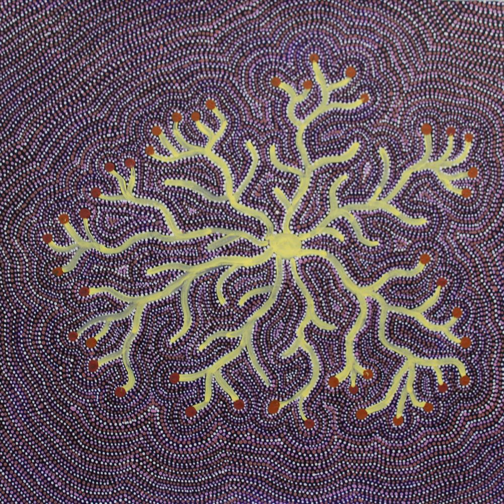 Dry Salt Bush (Ntjamanya)