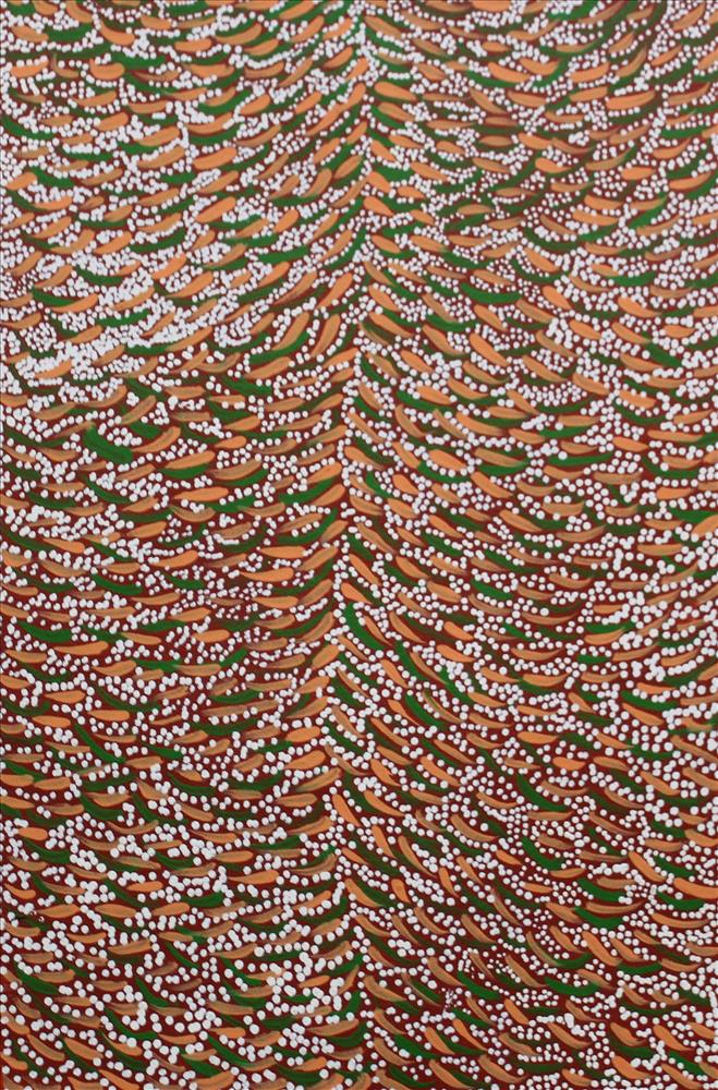 Healing Bush Medicine