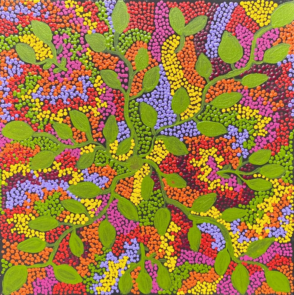 Kilipi (Bush Banana)