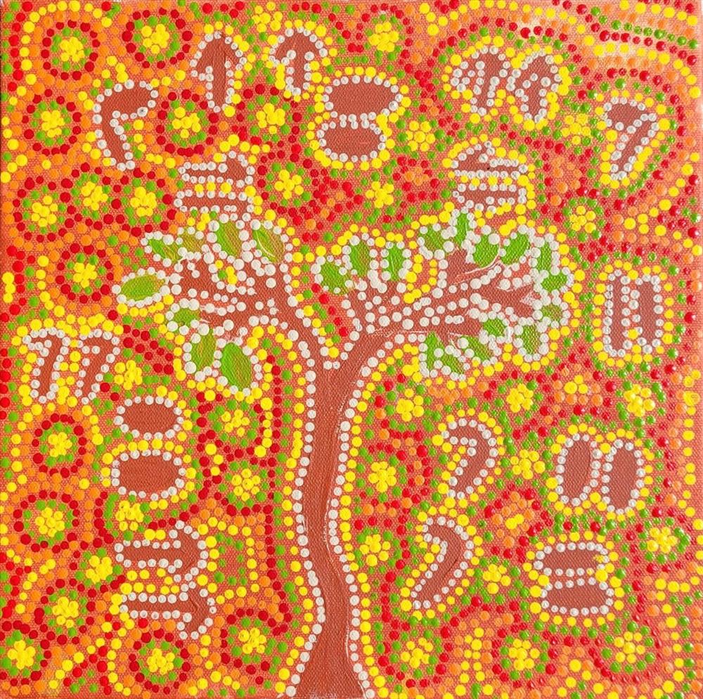 Mirntiwirri / Ngirirri (Boomerang Tree)