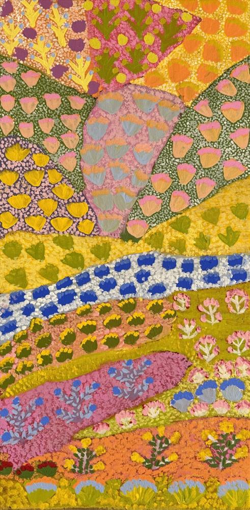 My Father's Country and Bush Medicine - Rosie Kemarre Morton