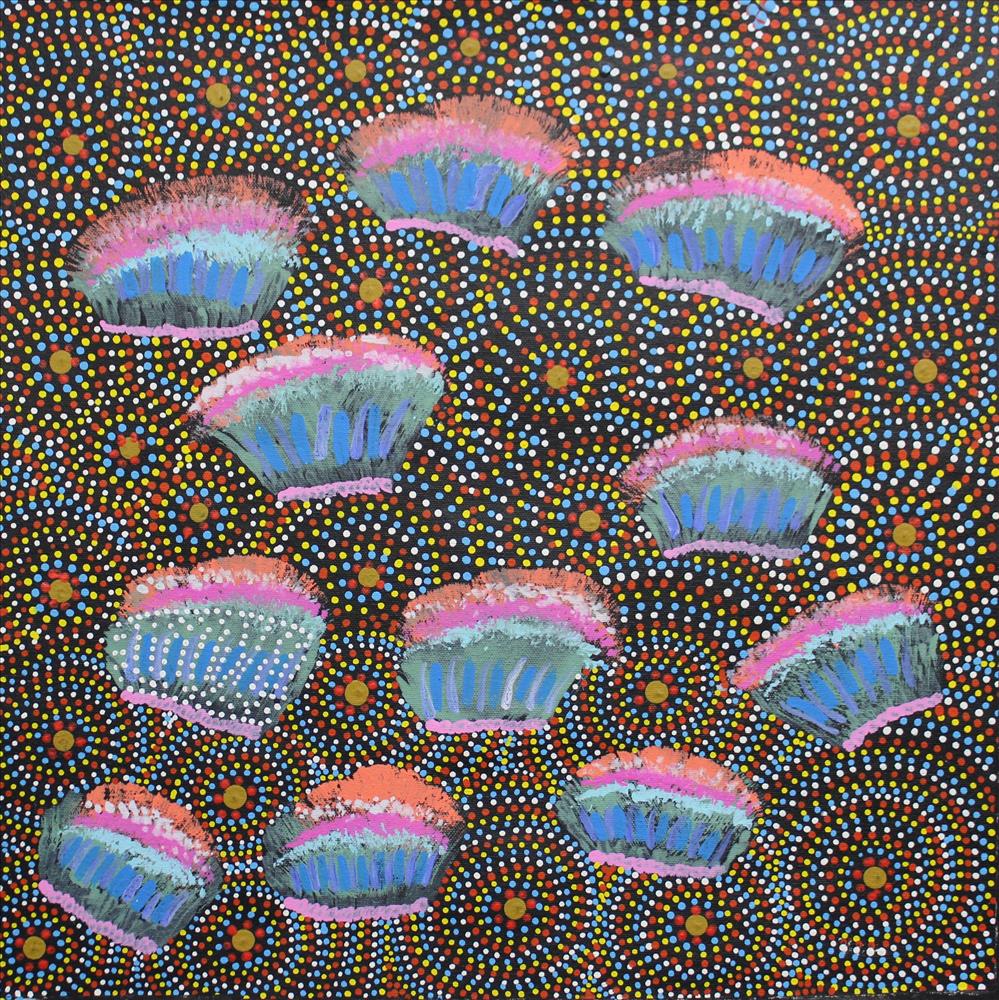 Native Flowers found on Country