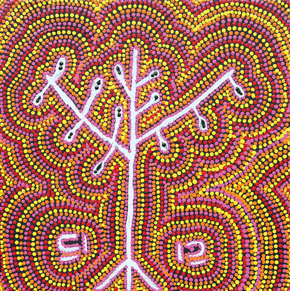 Ngamanpurru (Conkerberry)