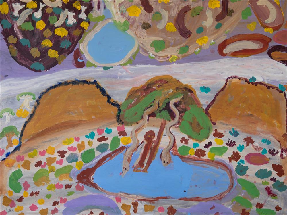 Nyayartakujarra (Lake Dora)