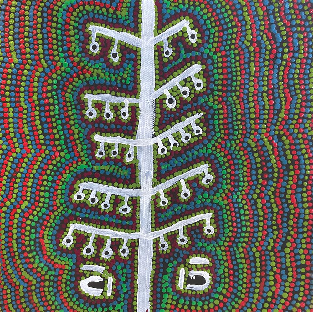 Partiki (Bush nut)