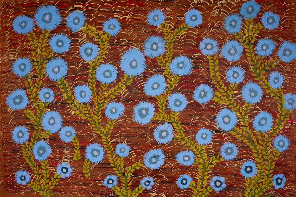 Pilbara flowers (blue bells)