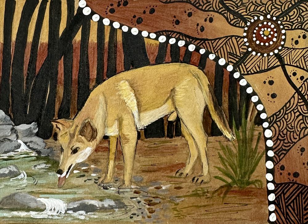 The Dingo