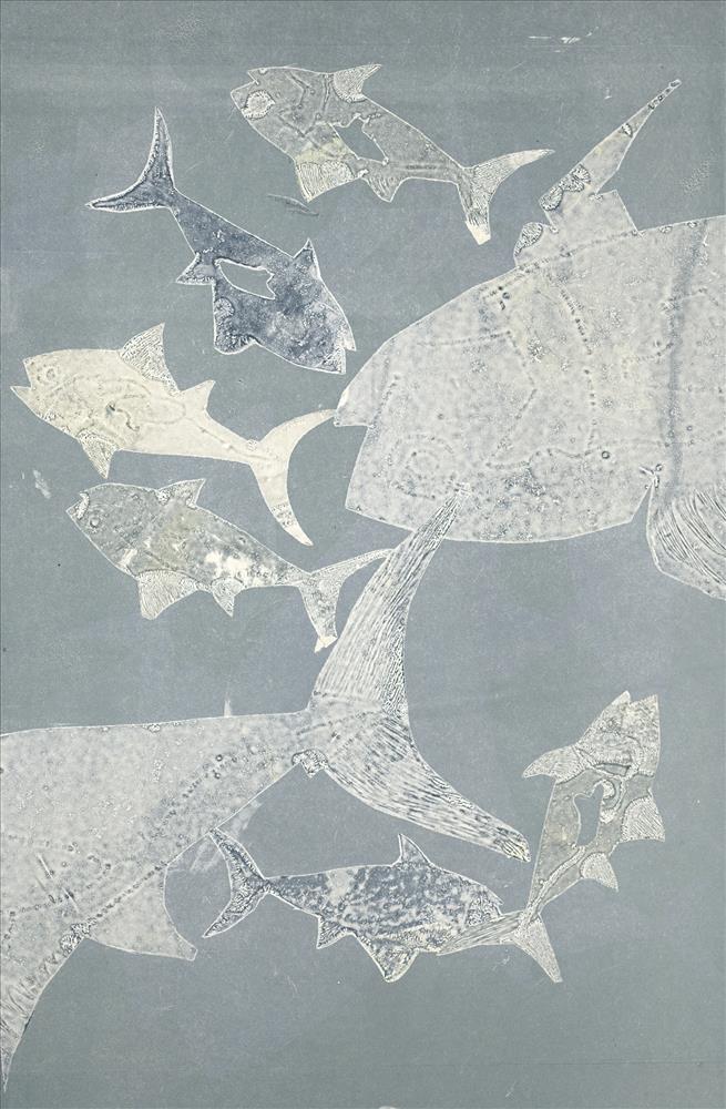 Tuna at night 1 OF 1