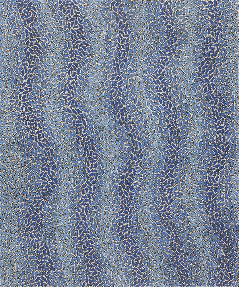 Warlukurlangu Jukurrpa (Fire country Dreaming)