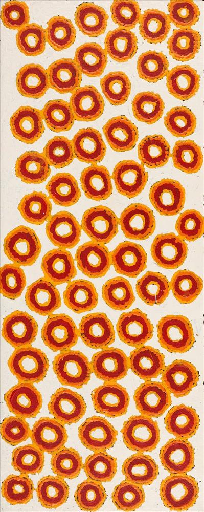 Warna Jukurrpa (Snake Dreaming)